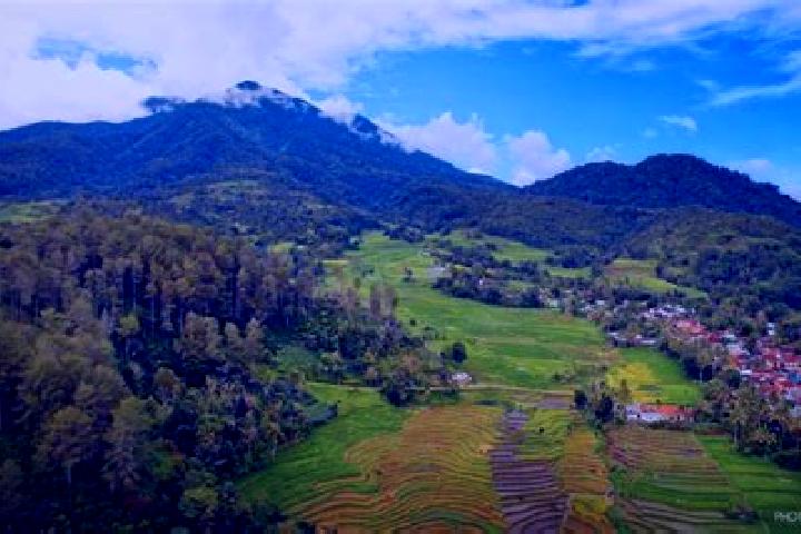 Ariana, 26 — Escort in Oenopu, Indonesia