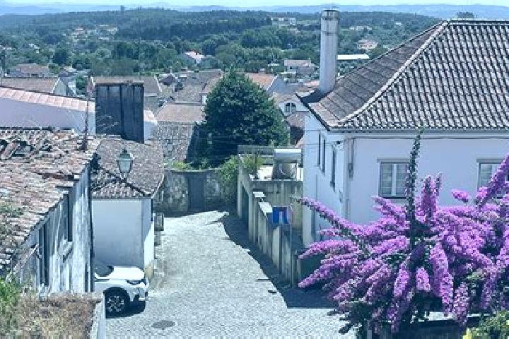 Ariana, 27 — Escort in Figueiro dos Vinhos, Portugal