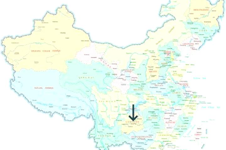 Ariana, 27 — Escort in Guangshui, China