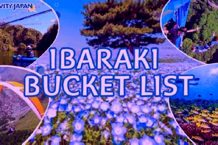 Ariana, 27 — Escort in Ibaraki, Japan