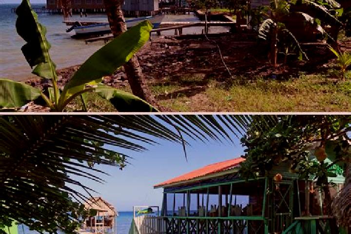 Ariana, 27 — Escort in Mangrove Bight, Honduras