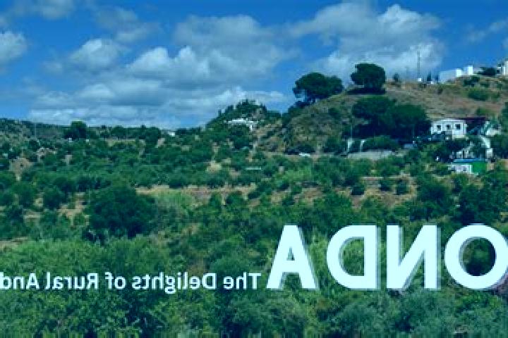 Ariana, 27 — Escort in Monda, Spain