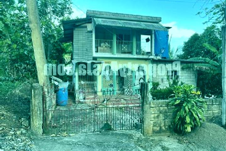 Ariana, 27 — Escort in Point Hill, Jamaica