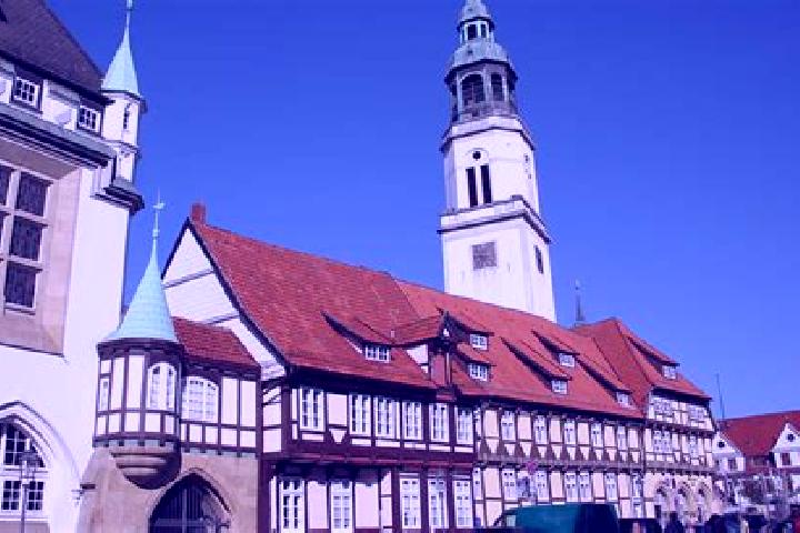 Ariana, 27 — Escort in Stolzenau, Germany