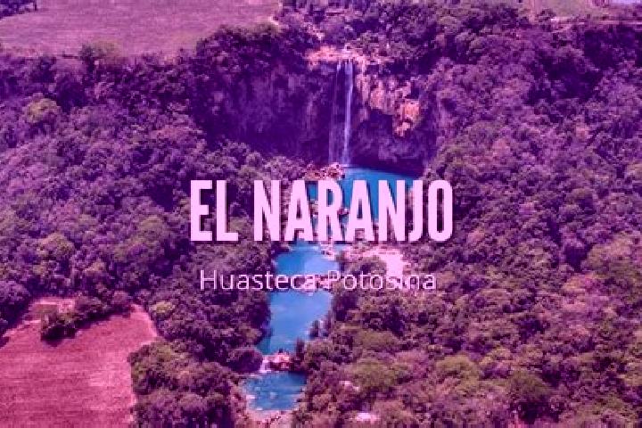 Ariana, 28 — Escort in Colonia el Naranjo, Mexico