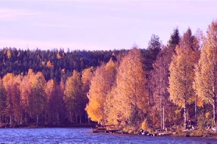 Ariana, 28 — Escort in Kemijaervi, Finland