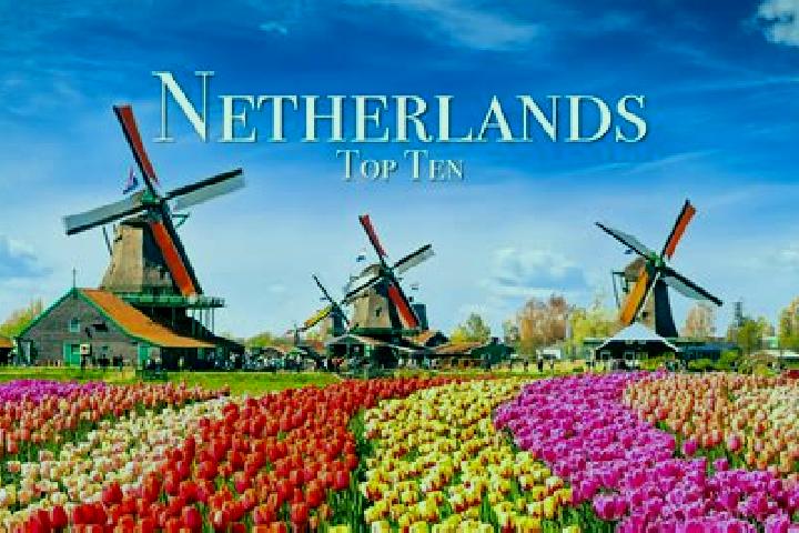 Ariana, 28 — Escort in Lomm, Netherlands