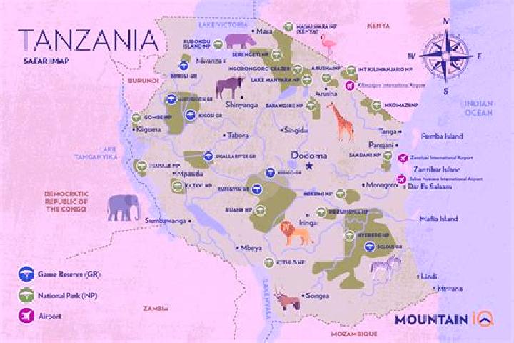 Ariana, 28 — Escort in Makuyuni, Tanzania