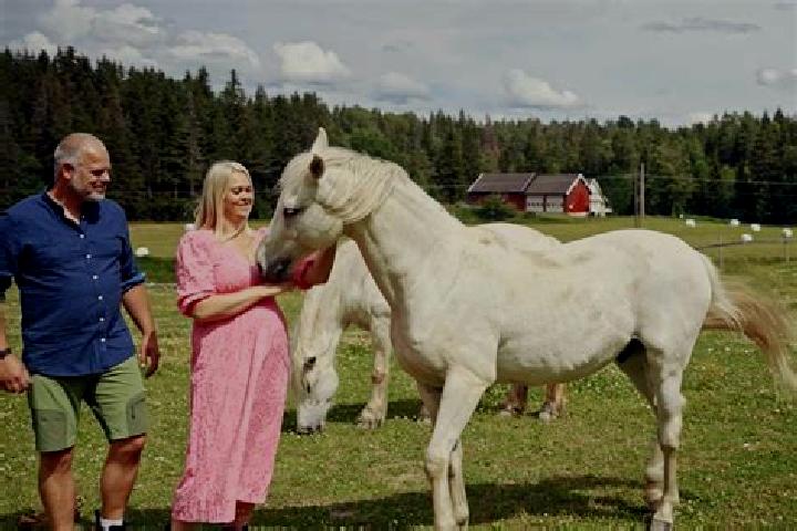 Ariana, 28 — Escort in Raholt, Norway