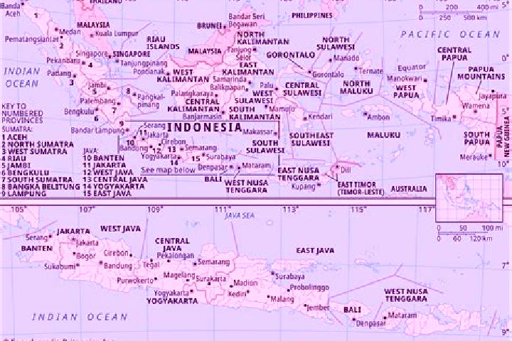 Ariana, 29 — Escort in Rowotengu, Indonesia