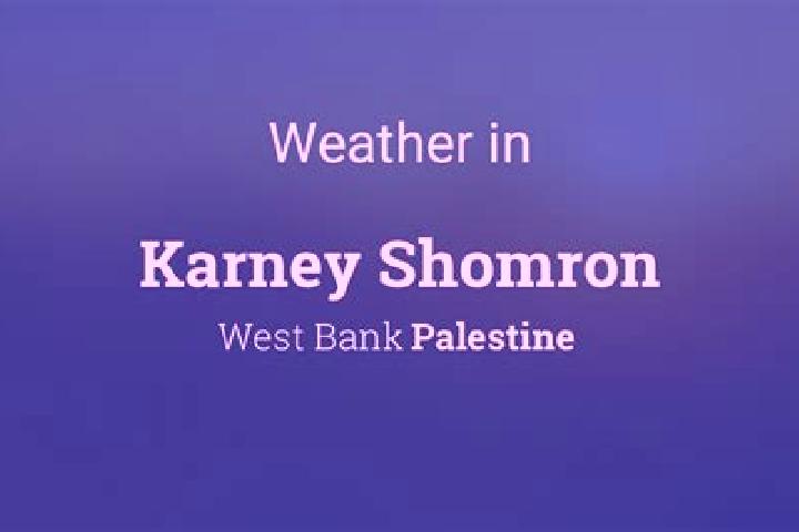 Ariana, 30 — Escort in Karney Shomron, Palestine