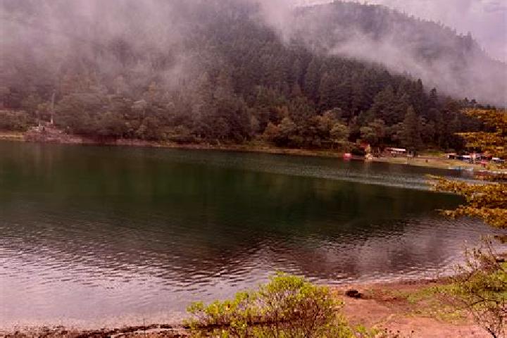 Ariana, 30 — Escort in Presa Brockman, Mexico