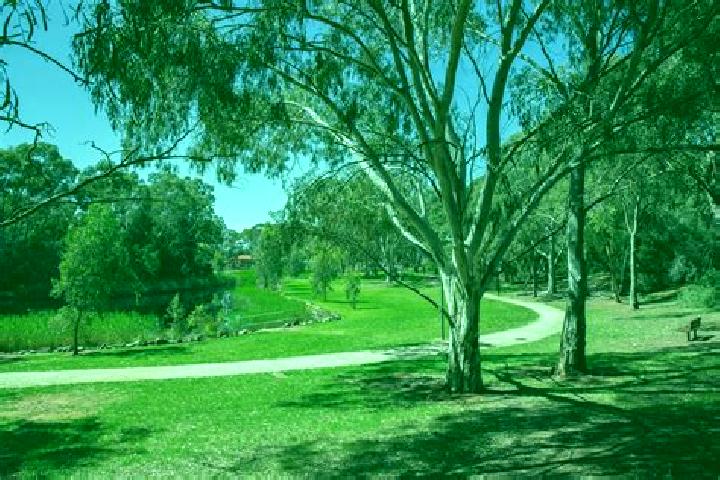 Ariana, 30 — Escort in Salisbury Park, Australia