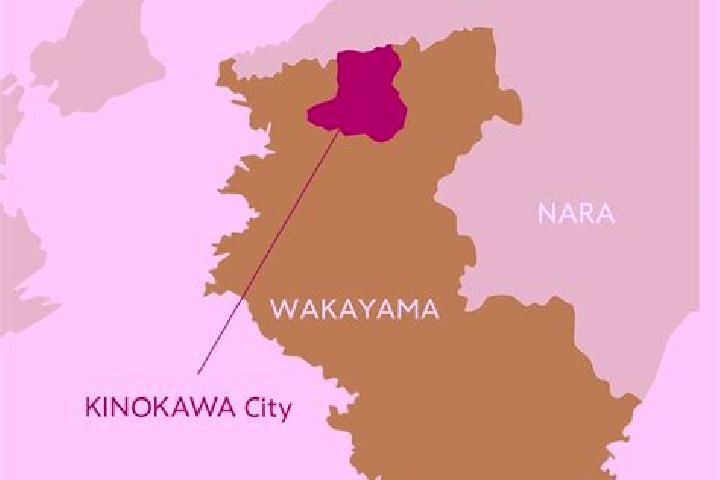 Ariana, 31 — Escort in Kinokawa, Japan