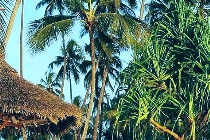 Ariana, 31 — Escort in Kwakoa, Tanzania