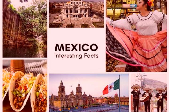 Ariana, 31 — Escort in San Matias, Mexico