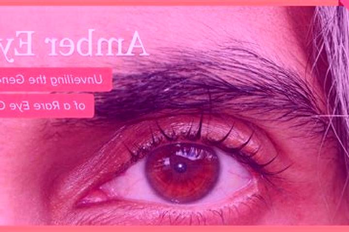 Ariana, 32, a black amber-eyed ebony companion based in Eigenbilzen. Offering Overnight, Massage, Party Girl. Available for incall and outcall, day and eveni...