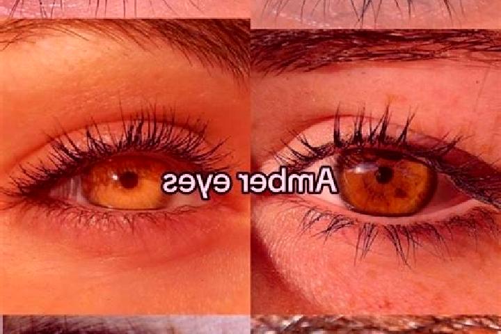 Ariana, 32, a chestnut amber-eyed mediterranean companion based in Fraccionamiento Villa Jardin. Offering Tantra, Domination, OWO. Available for incall and o...