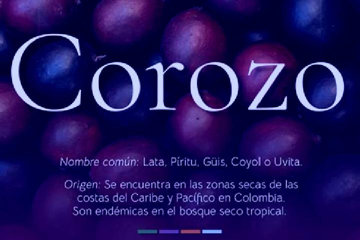 Ariana, 32 — Escort in El Corozo, Venezuela