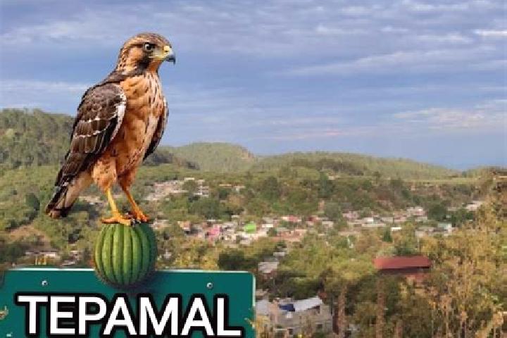 Ariana, 32 — Escort in El Tepamal, Mexico