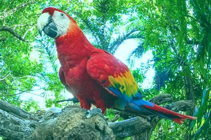 Ariana, 32 — Escort in Las Guacamayas, Mexico