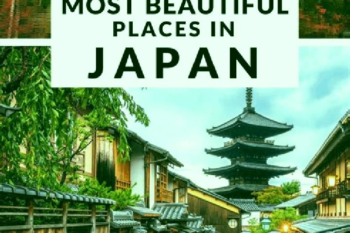 Ariana, 32 — Escort in Ogi, Japan