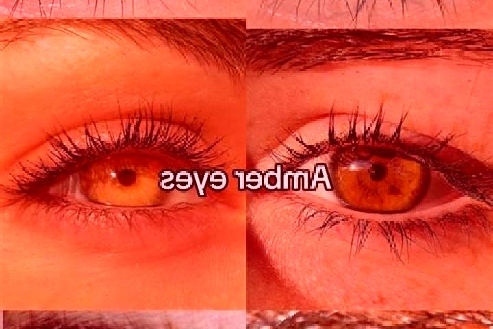 Ariana, 33, a brunette amber-eyed caucasian companion based in Nova Xavantina. Offering BDSM, A-Level, Striptease. Available for incall and outcall, day and ...