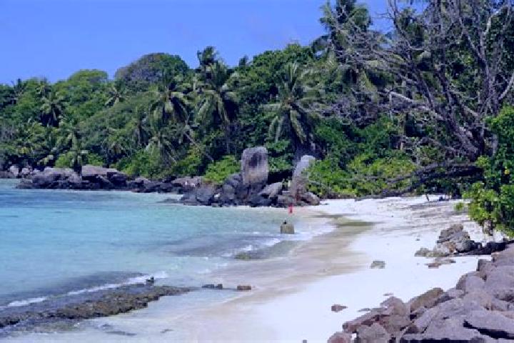 Ariana, 33 — Escort in Anse aux Pins, Seychelles