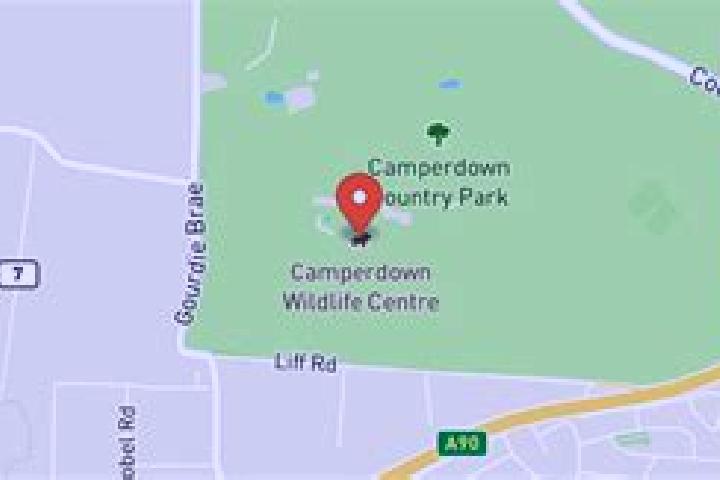 Ariana, 33 — Escort in Camperdown, Australia