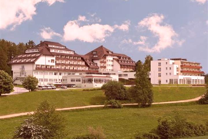 Ariana, 33 — Escort in Gross-Gerungs, Austria