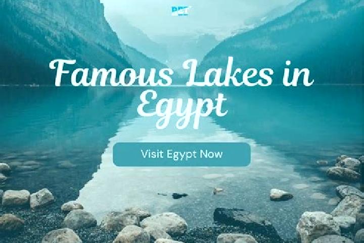 Ariana, 33 — Escort in Nuwaybi a, Egypt