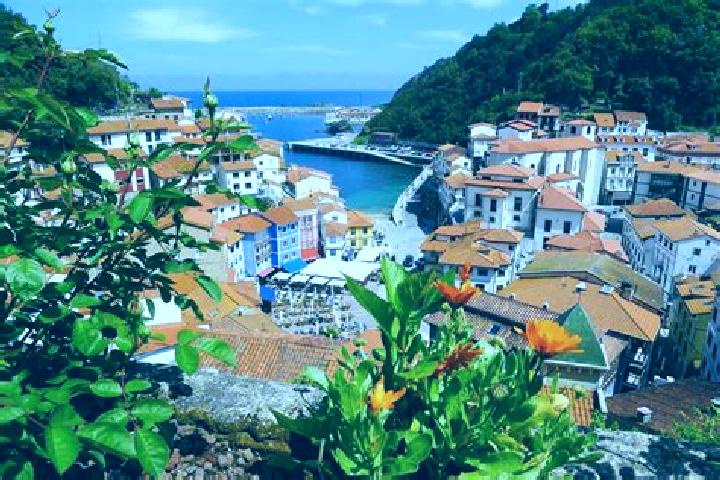 Ariana, 34 — Escort in Cudillero, Spain