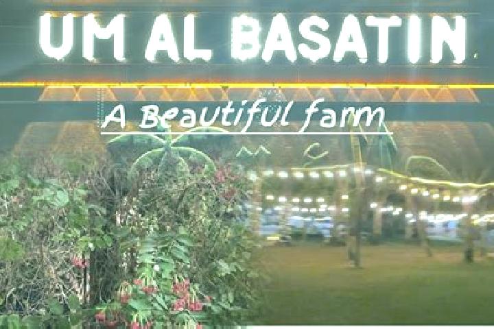 Ariana, 34 — Escort in Umm al Basatin, Jordan