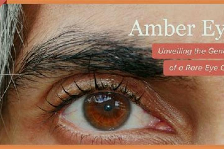 Ariana, 35, a black amber-eyed mixed companion based in Te Poi. Offering Fetish, Erotic Massage, Massage. Available for incall and outcall, day and evening d...