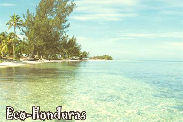 Ariana, 35 — Escort in Agualote, Honduras