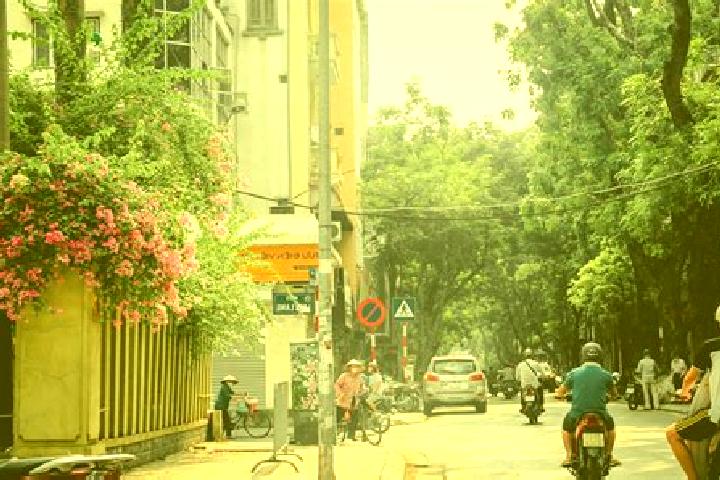 Ariana, 35 — Escort in GJong GJa, Vietnam