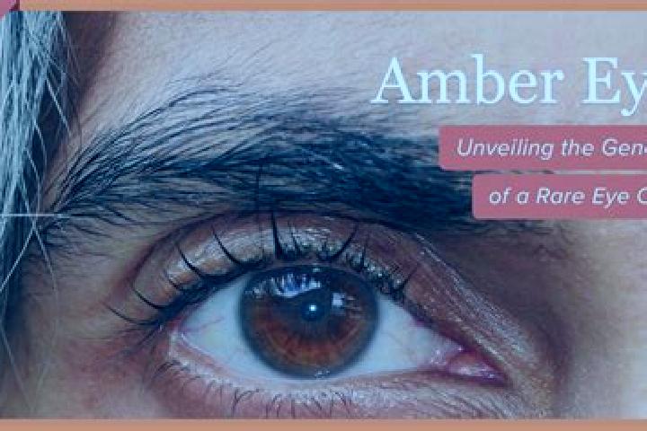 Ariana, 36, a red amber-eyed indian companion based in Margarita. Offering Roleplay, BDSM, Prostate Massage, Duos. Available for incall and outcall, day and ...