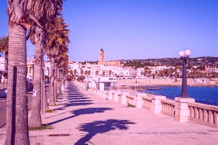 Ariana, 36 — Escort in Santa Maria di Leuca, Italy