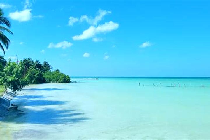 Ariana, 36 — Escort in Sarteneja, Belize