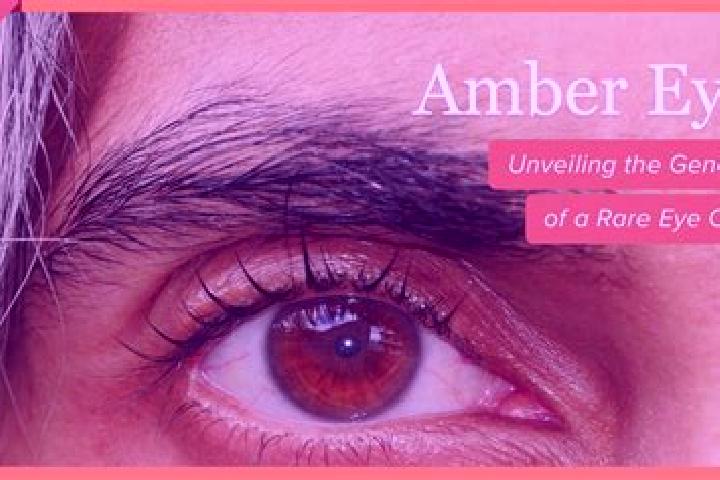 Ariana, 37, a black amber-eyed mixed companion based in Malyi. Offering Party Girl, CIM, Domination, GFE. Available for incall and outcall, overnight booking...
