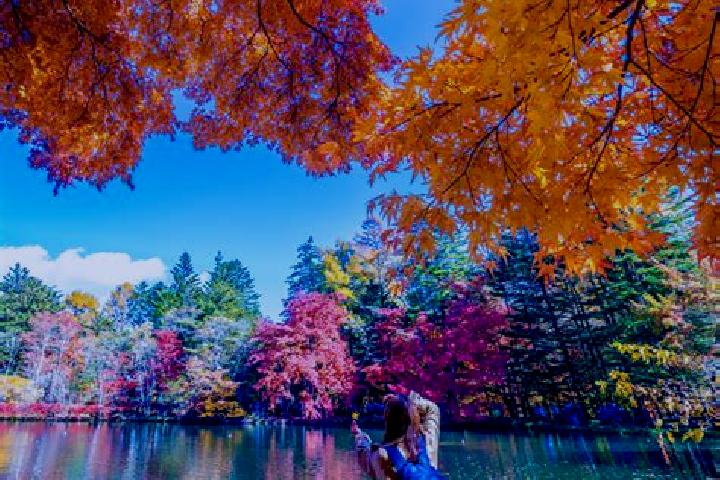 Ariana, 37 — Escort in Karuizawa, Japan