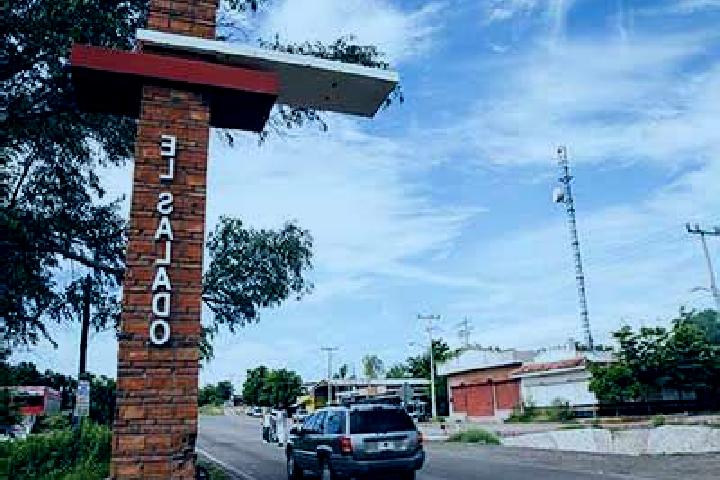 Ariana, 38 — Escort in Colonia el Salado, Mexico