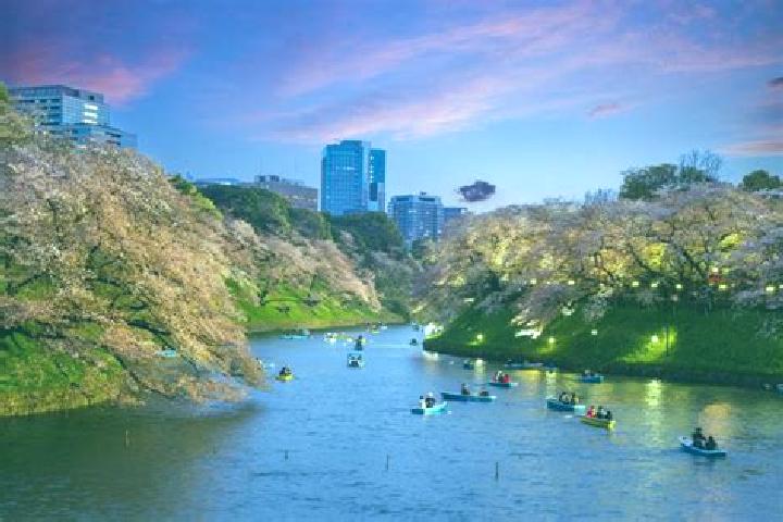 Ariana, 38 — Escort in Komagome, Japan