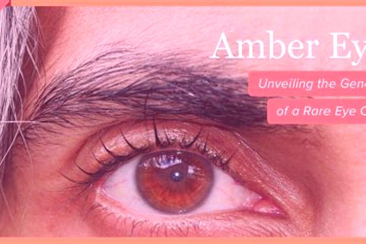 Ariana, 39, a black amber-eyed slavic companion based in Curlewis. Offering A-Level, CIM, Massage. Available for incall and outcall, overnight bookings avail...