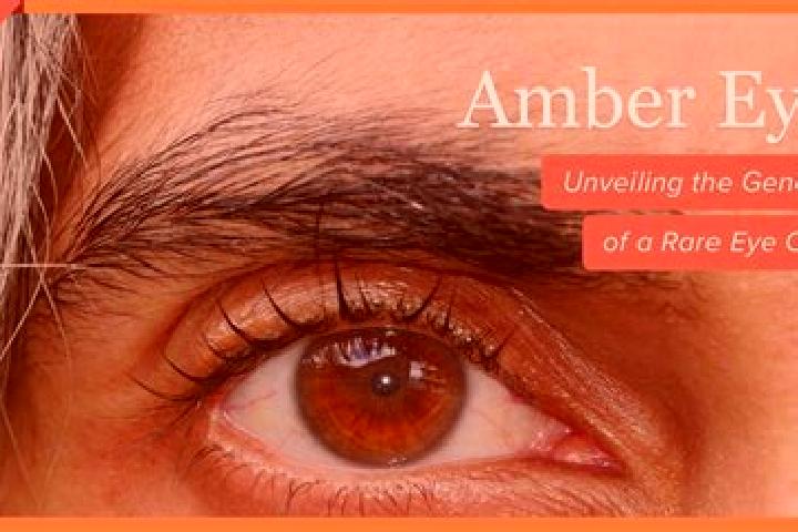 Ariana, 39, a red amber-eyed ebony companion based in Chetilla. Offering A-Level, Massage, GFE, Dinner Date. Available for incall and outcall, overnight book...