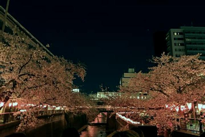 Ariana, 39 — Escort in Nakameguro, Japan