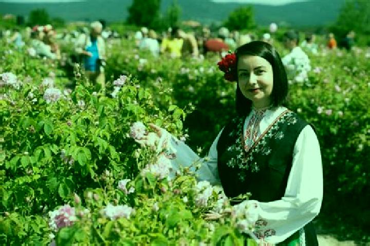 Aubrey, 20 — Escort in Kazanlak, Bulgaria