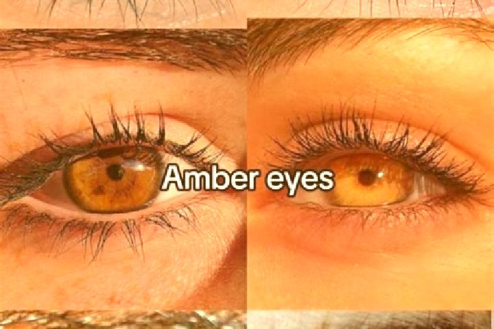 Aubrey, 21, a chestnut amber-eyed european companion based in Cohasset. Offering Domination, Massage, OWO, GFE, Couples. Available for incall and outcall, da...