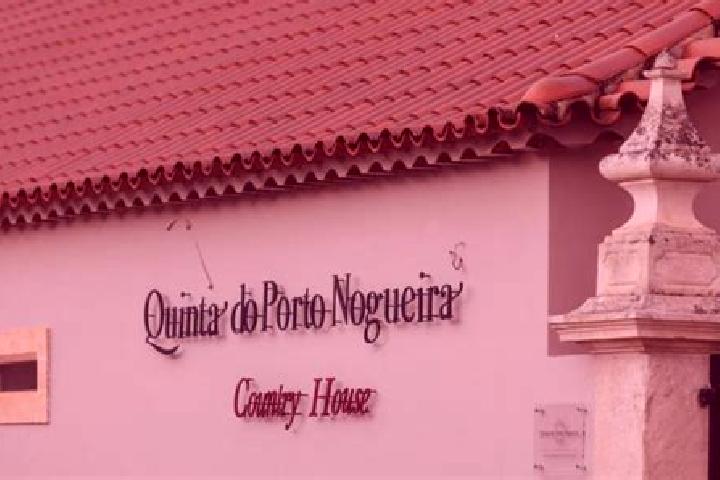 Aubrey, 21 — Escort in Alguber, Portugal