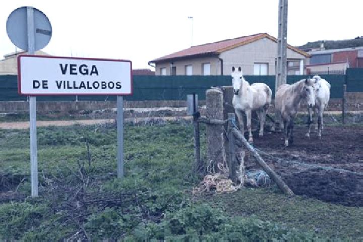 Aubrey, 21 — Escort in Vega de Villalobos, Spain